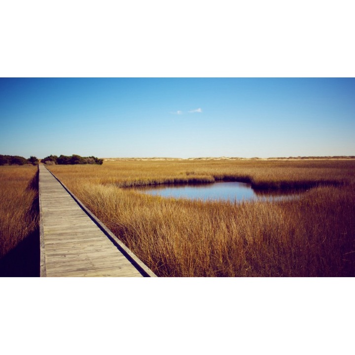 Tapéta Premium Canvas 200x300 cm Táj 145