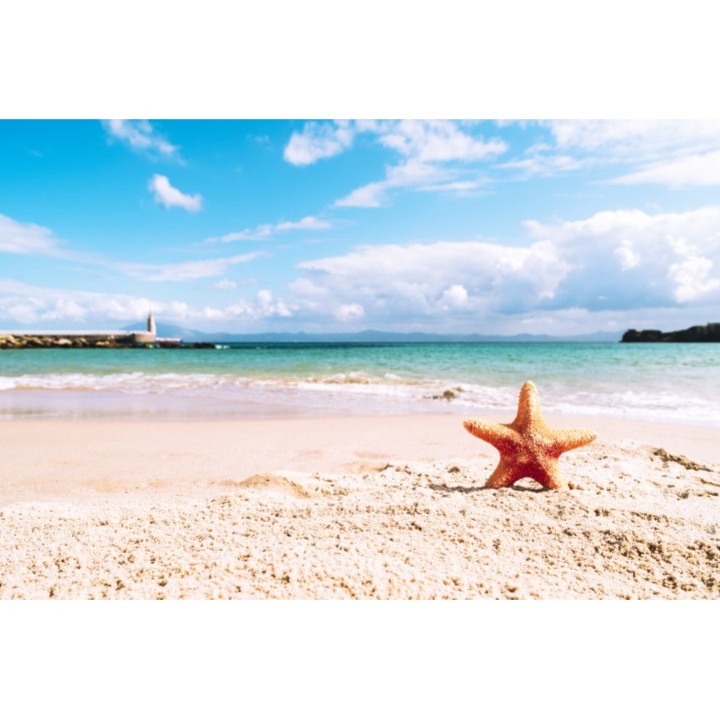 Fototapet hartie Blueback 120x180 cm Peisaj 167