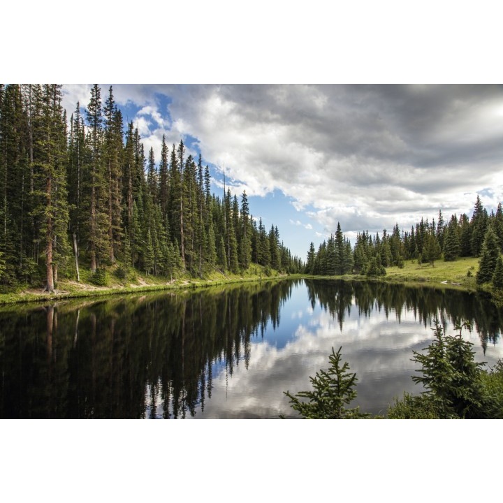 Kékhátú papírtapéta 240x180 cm Fekvő 221