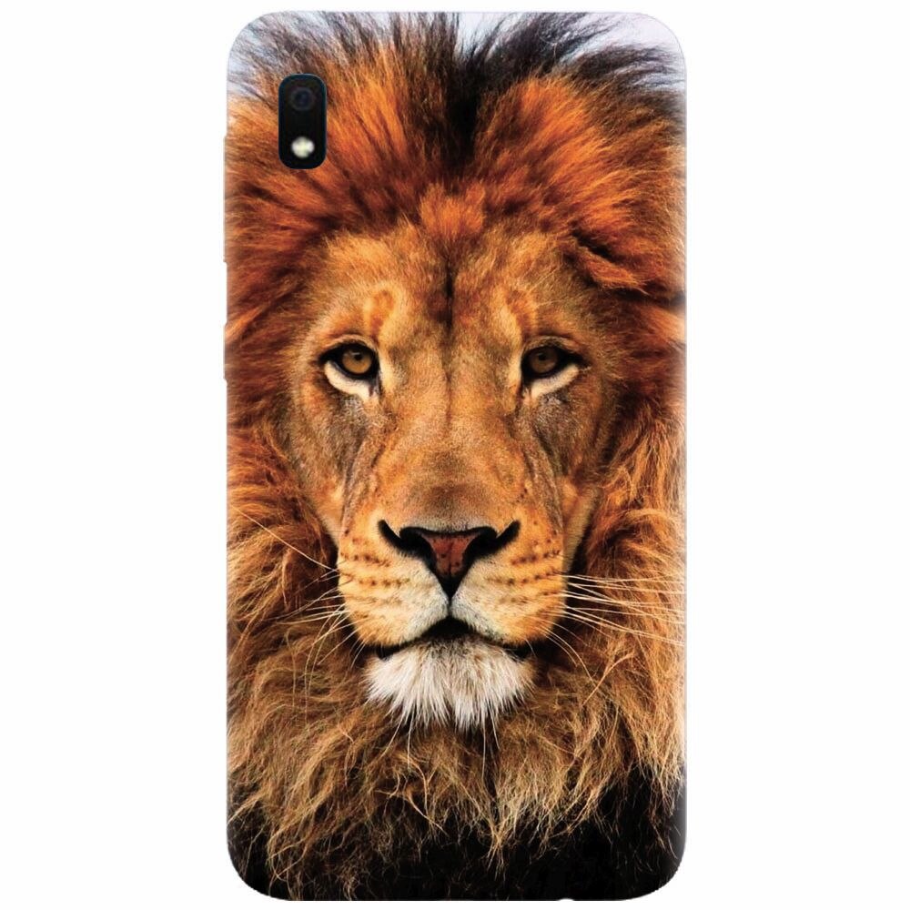 Husa silicon pentru Samsung Galaxy A10, Colorful Lion4