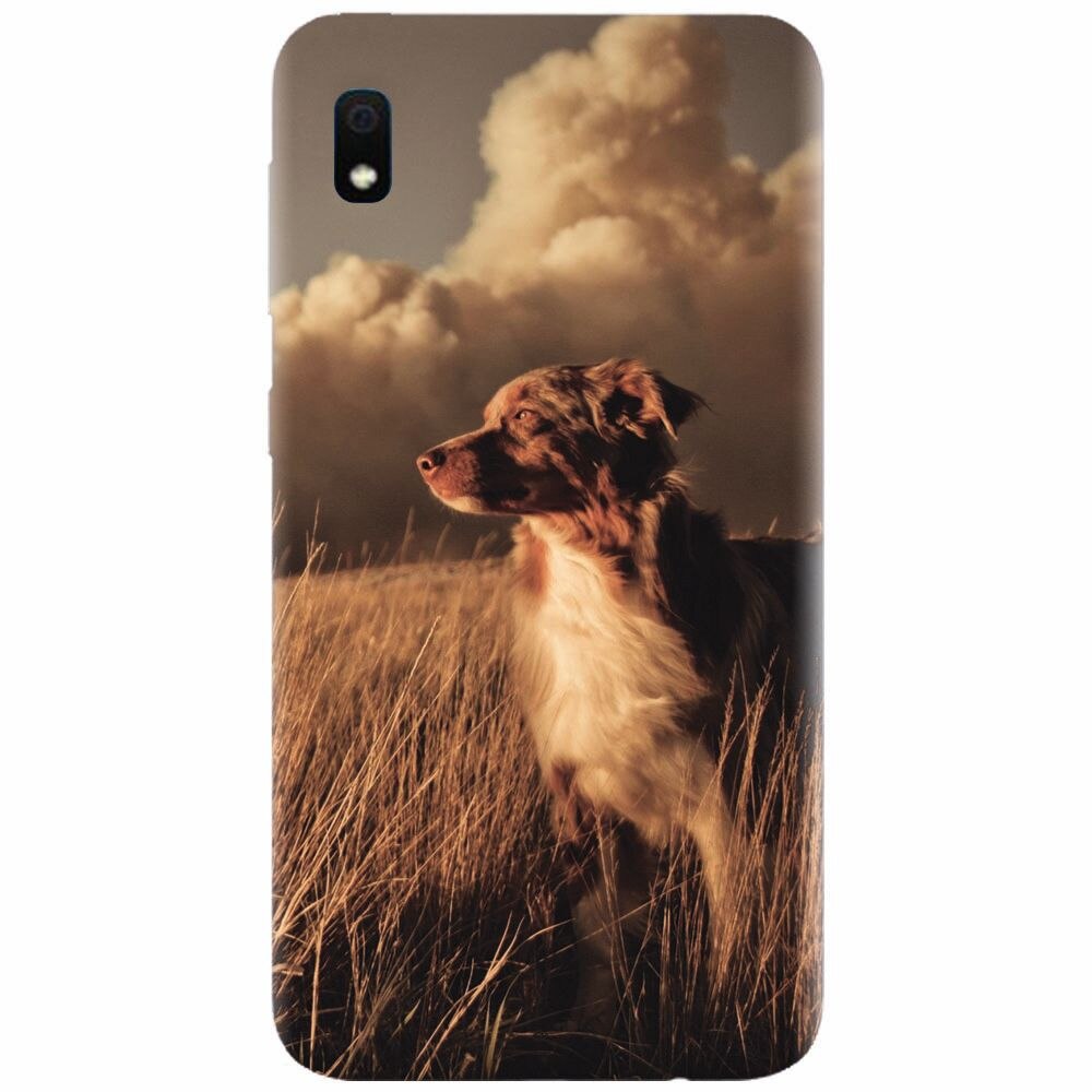 Husa silicon pentru Samsung Galaxy A10, Alone Dog Animal In Grass