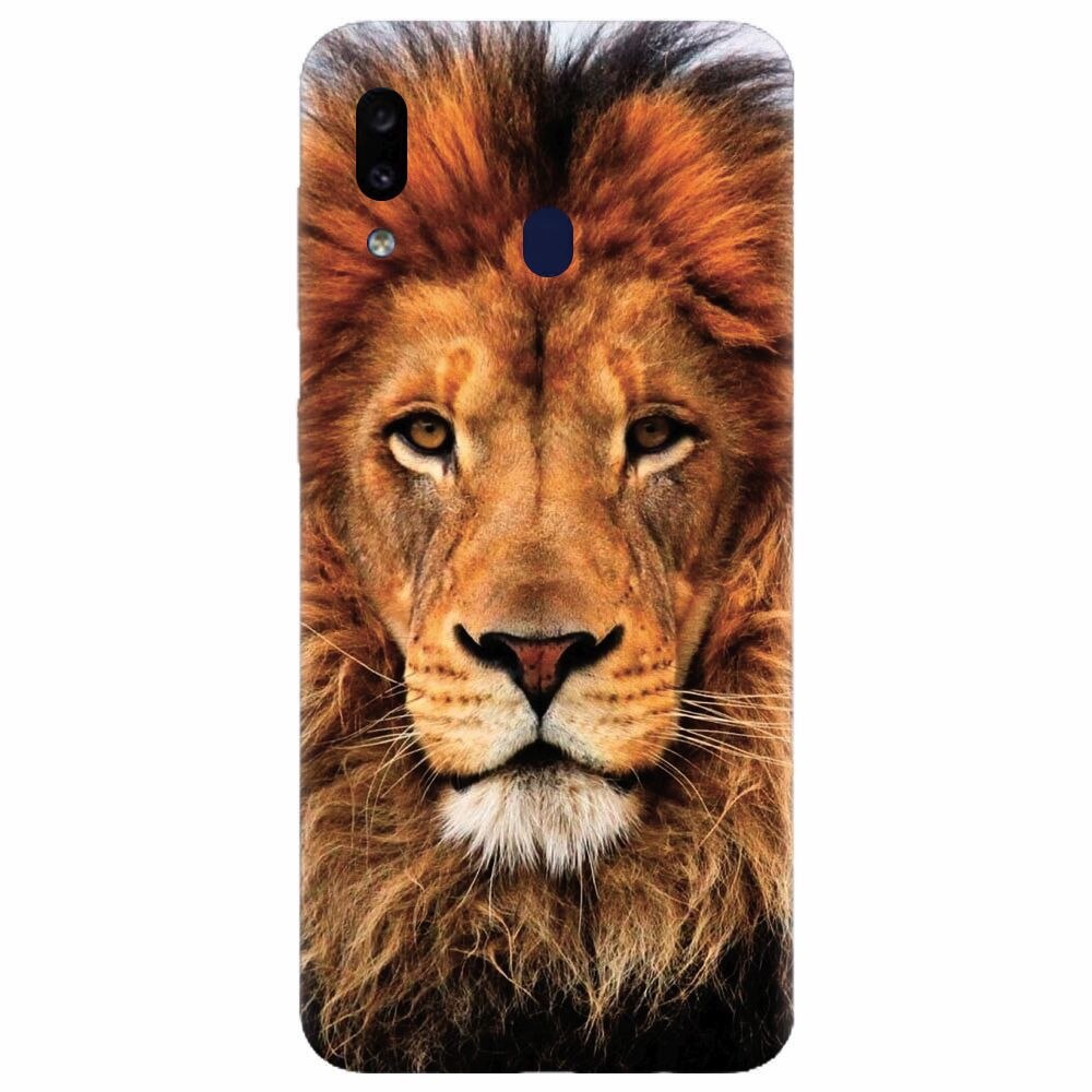 Husa silicon pentru Samsung Galaxy M20, Colorful Lion4