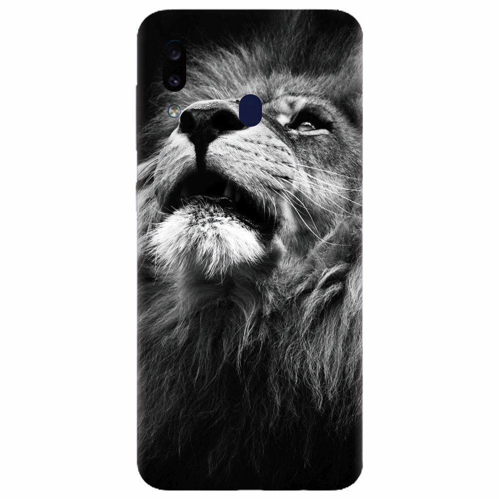 Husa silicon pentru Samsung Galaxy M20, Majestic Lion Portrait