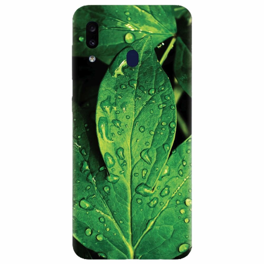 Husa silicon pentru Samsung Galaxy A20, Leaves And Dew