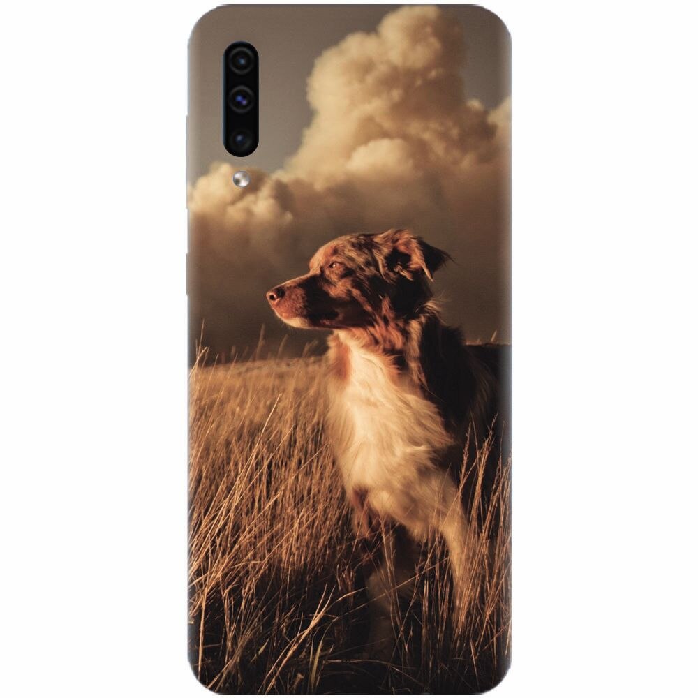 Husa silicon pentru Samsung Galaxy A50, Alone Dog Animal In Grass
