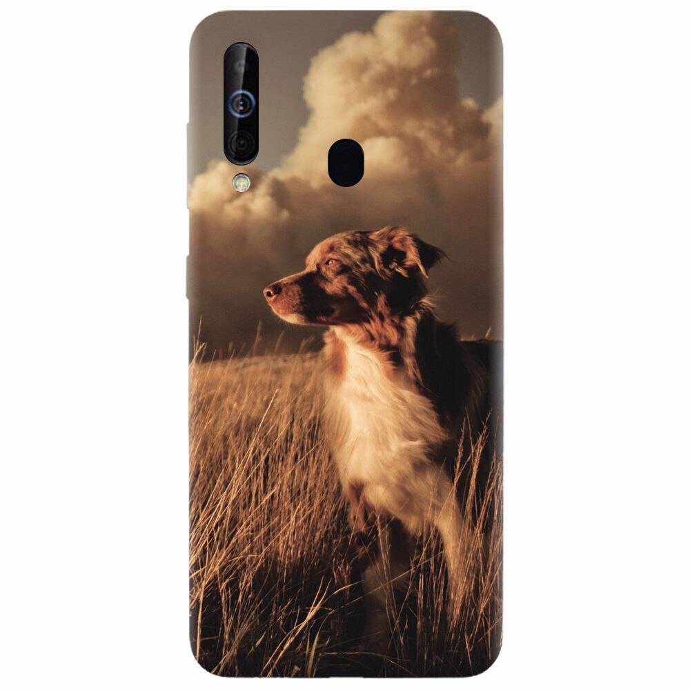 Husa silicon pentru Samsung Galaxy M30, Alone Dog Animal In Grass