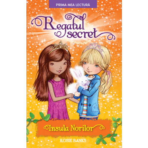 Regatul secret. Insula norilor. Rosie Banks