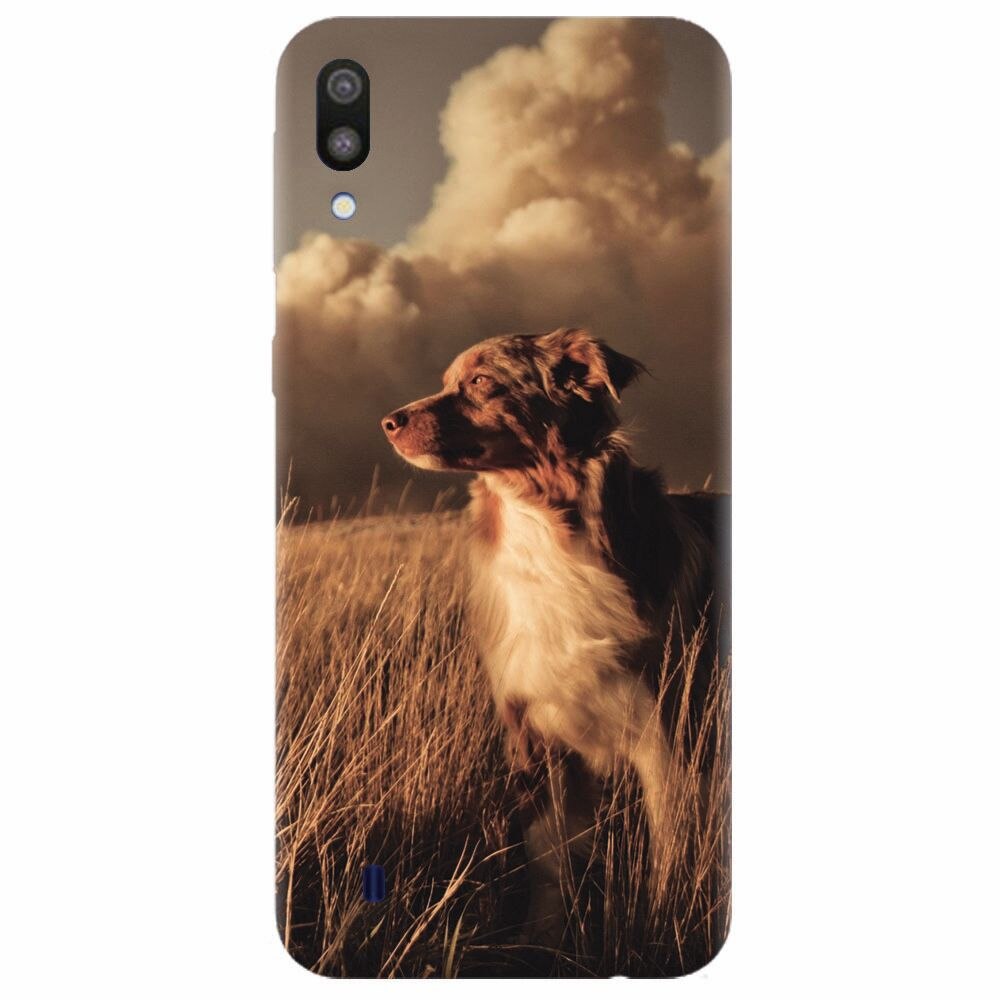 Husa silicon pentru Samsung Galaxy M10, Alone Dog Animal In Grass