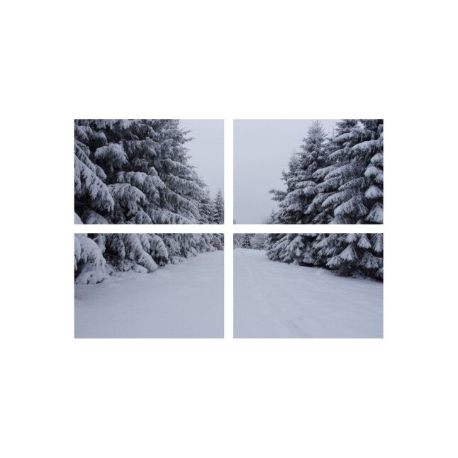 Set tablouri Multicanvas 4 piese 100x70 cm, peisaj 16