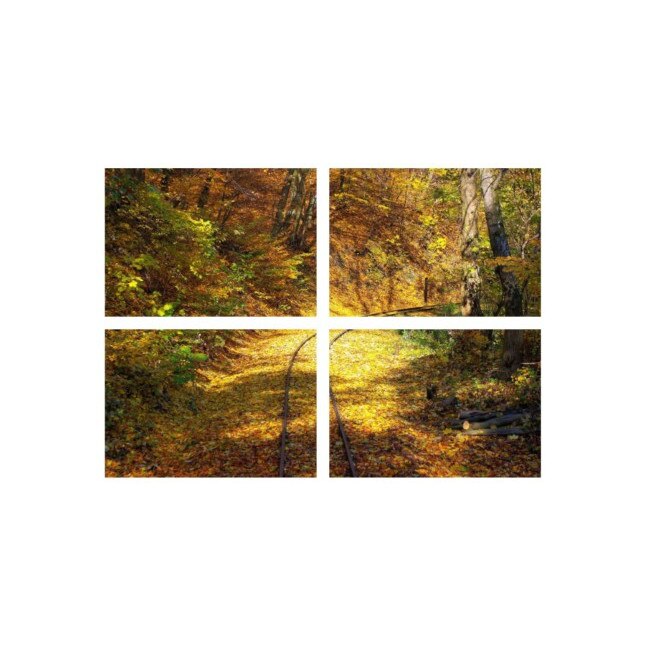 Set tablouri Multicanvas 4 piese 60x40 cm, peisaj 54