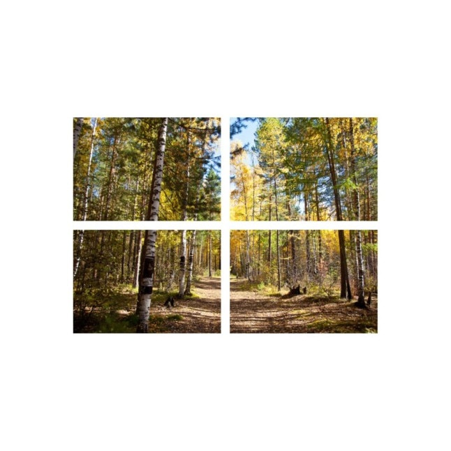 Set tablouri Multicanvas 4 piese 100x70 cm, peisaj 47