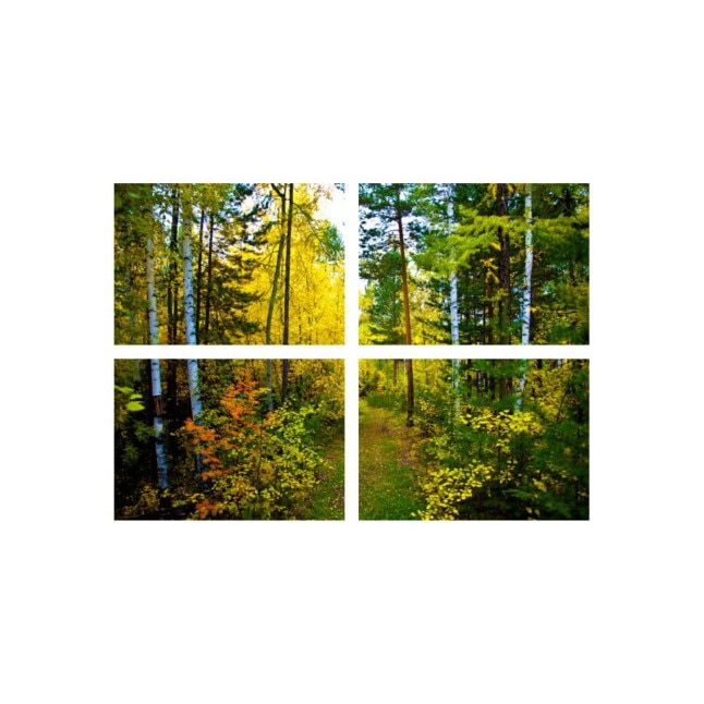 Set tablouri Multicanvas 4 piese 100x70 cm, peisaj 20