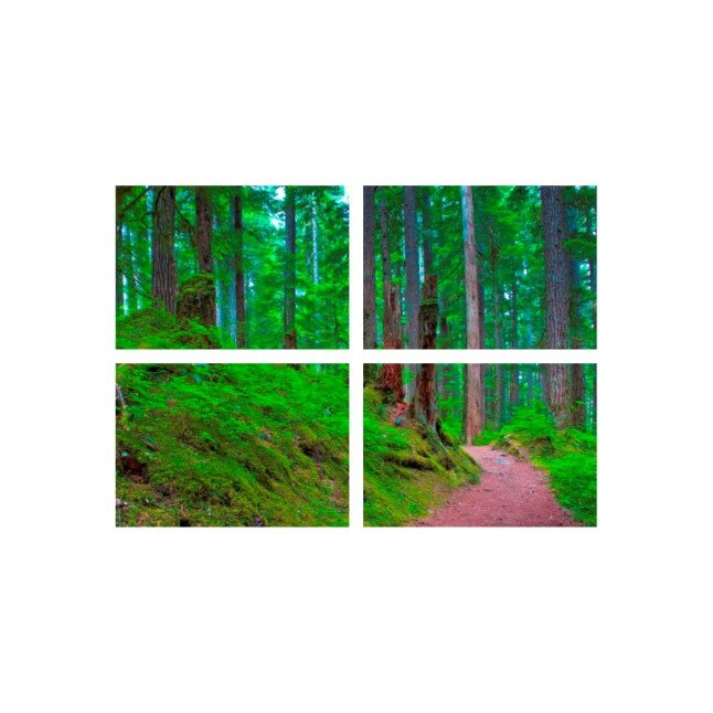 Set tablouri Multicanvas 4 piese 100x70 cm, peisaj 121