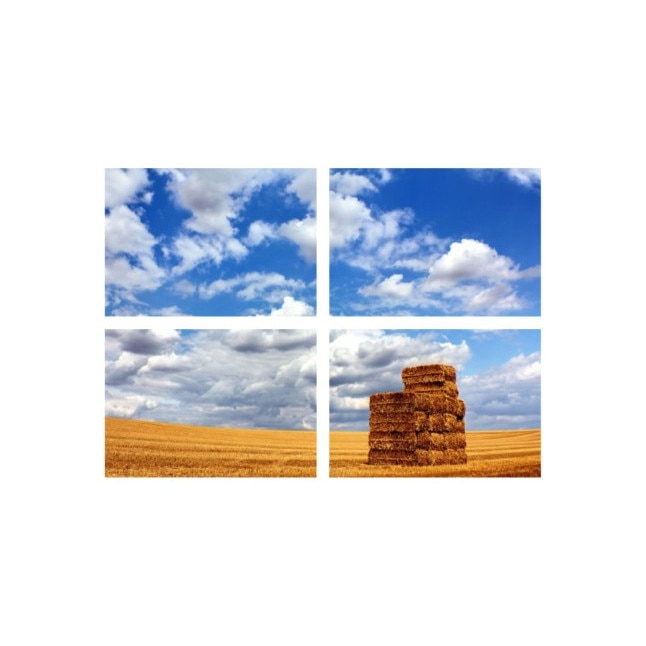 Set tablouri Multicanvas 4 piese 60x40 cm, peisaj 46