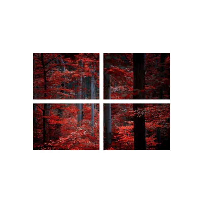 Set tablouri Multicanvas 4 piese 60x40 cm, peisaj 72