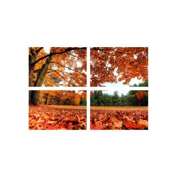 Set tablouri Multicanvas 4 piese 60x40 cm, peisaj 23 Set tablouri Multicanvas 4 piese 60x40 cm, peisaj 23