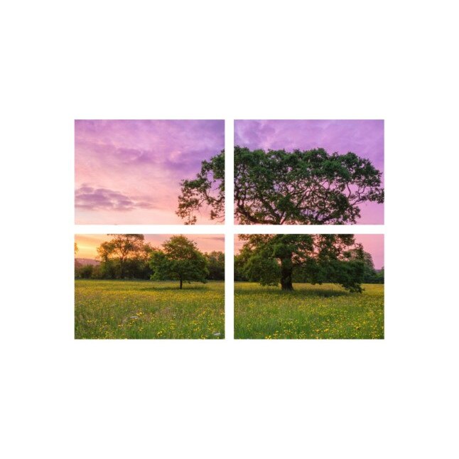 Set tablouri Multicanvas 4 piese 100x70 cm, peisaj 119