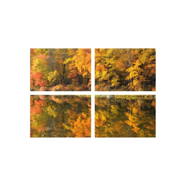 Set tablouri Multicanvas 4 piese 60x40 cm, peisaj 26