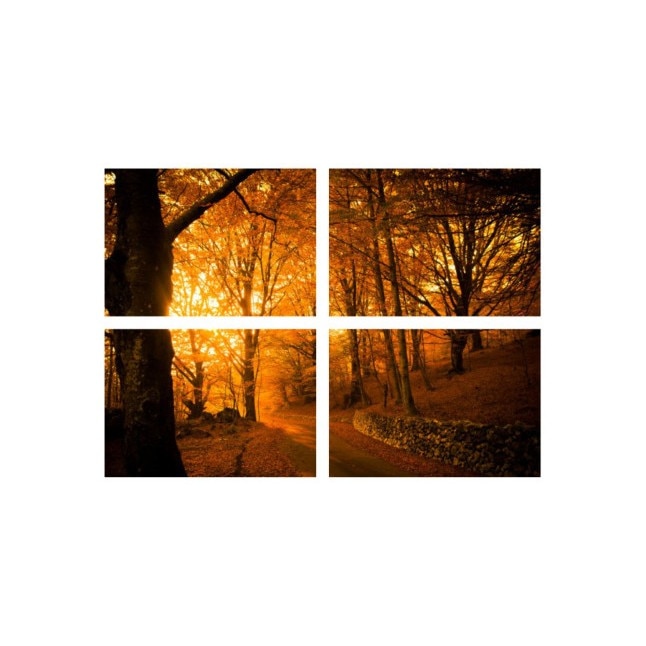 Set tablouri Multicanvas 4 piese 60x40 cm, peisaj 82