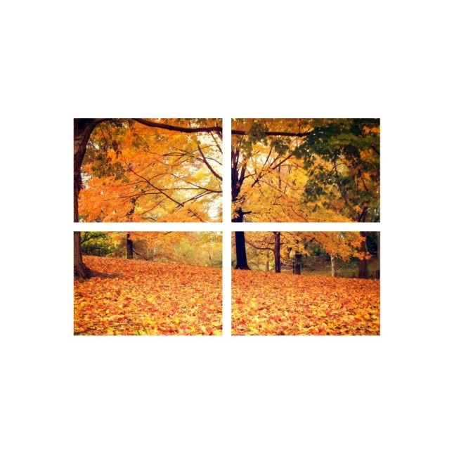 Set tablouri Multicanvas 4 piese 100x70 cm, peisaj 105