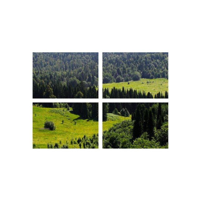 Set tablouri Multicanvas 4 piese 60x40 cm, peisaj 5