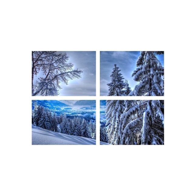 Set tablouri Multicanvas 4 piese 100x70 cm, peisaj 142