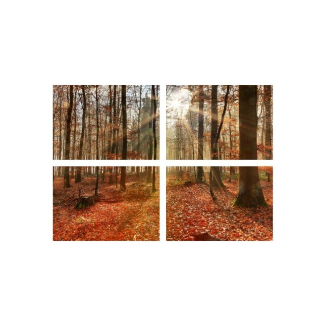 Set tablouri Multicanvas 4 piese 60x40 cm, peisaj 40