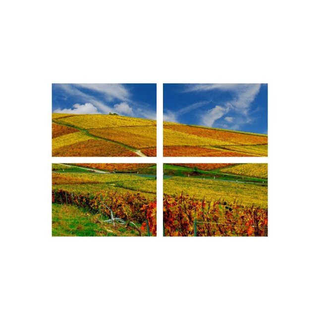 Set tablouri Multicanvas 4 piese 60x40 cm, peisaj 90