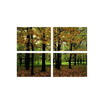 Set tablouri Multicanvas 4 piese 60x40 cm, peisaj 55 Set tablouri Multicanvas 4 piese 60x40 cm, peisaj 55