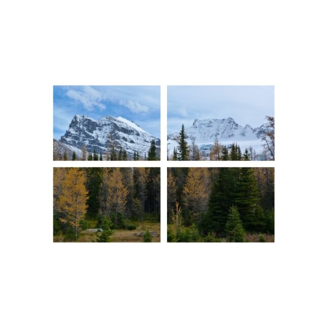 Set tablouri Multicanvas 4 piese 60x40 cm, peisaj 160