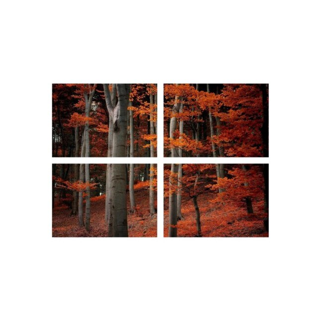 Set tablouri Multicanvas 4 piese 60x40 cm, peisaj 111