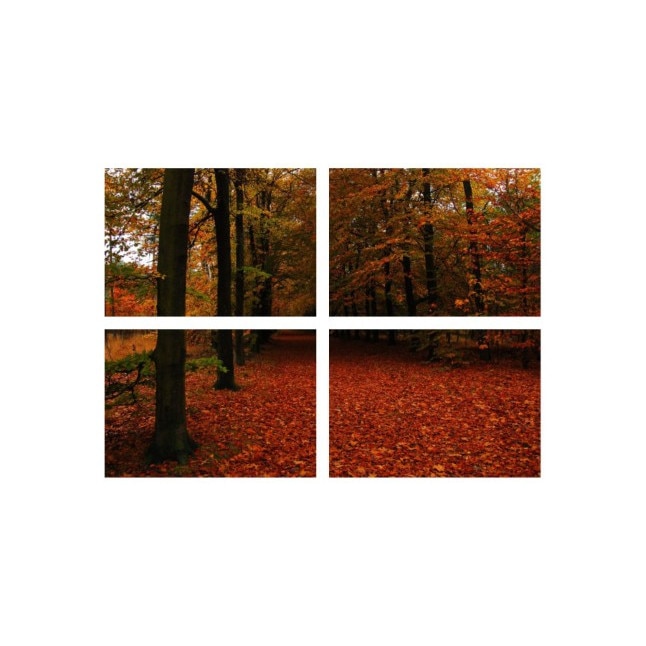 Set tablouri Multicanvas 4 piese 60x40 cm, peisaj 29