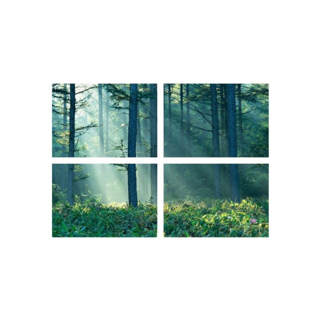 Set tablouri Multicanvas 4 piese 60x40 cm, peisaj 73