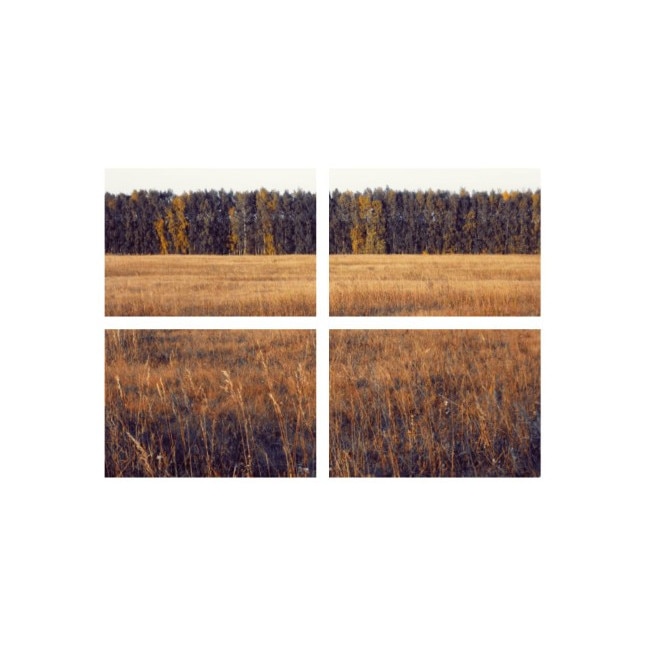 Set tablouri Multicanvas 4 piese 100x70 cm, peisaj 62