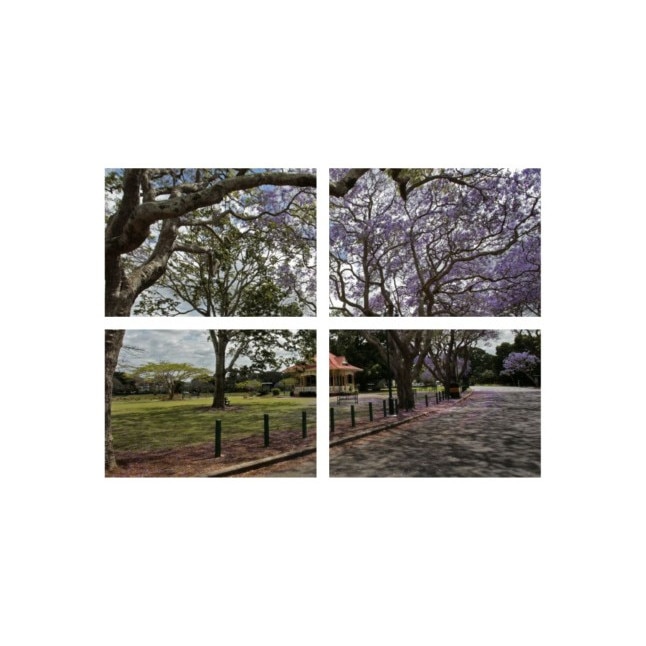 Set tablouri Multicanvas 4 piese 60x40 cm, peisaj 43