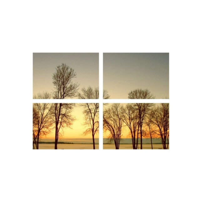 Set tablouri Multicanvas 4 piese 60x40 cm, peisaj 39