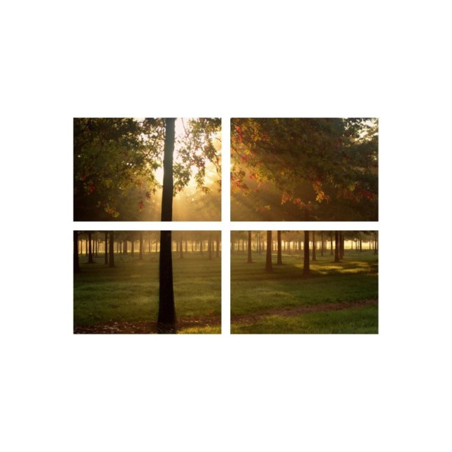 Set tablouri Multicanvas 4 piese 60x40 cm, peisaj 110