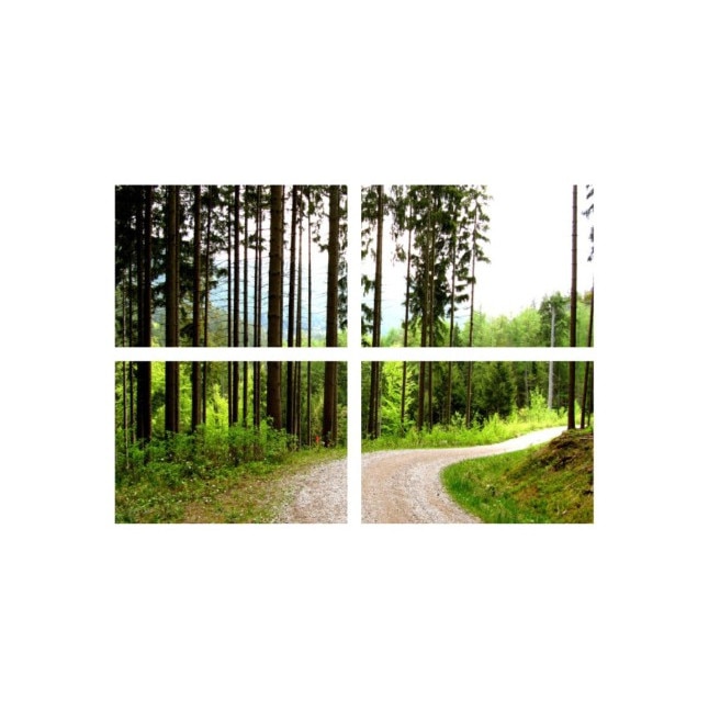 Set tablouri Multicanvas 4 piese 60x40 cm, peisaj 71