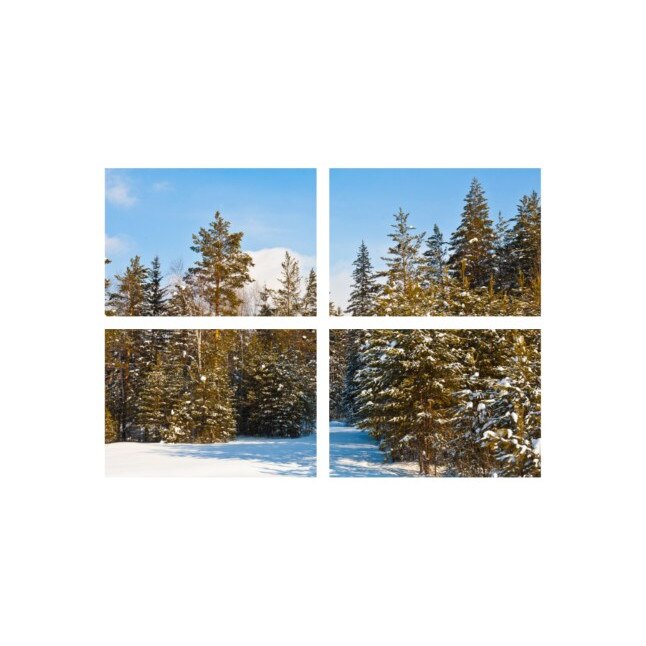 Set tablouri Multicanvas 4 piese 60x40 cm, peisaj 164
