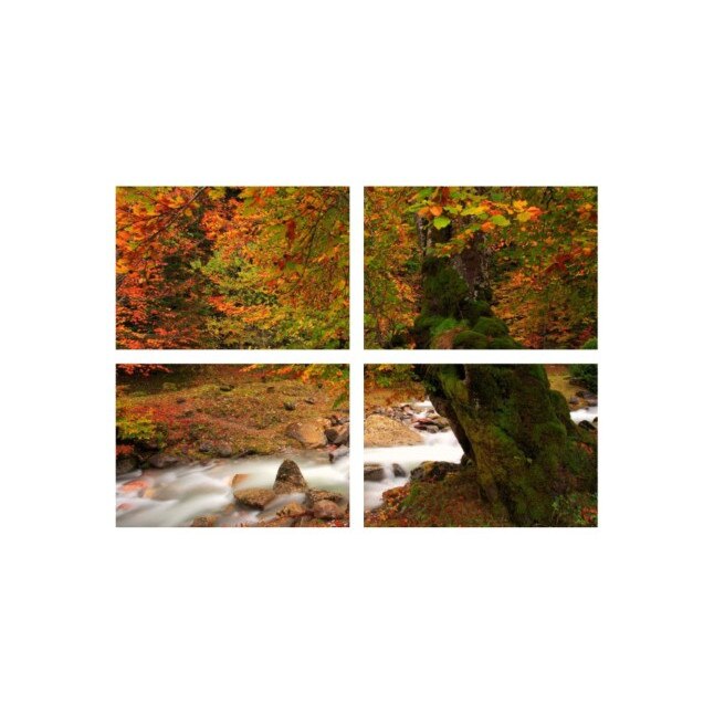 Set tablouri Multicanvas 4 piese 60x40 cm, peisaj 76