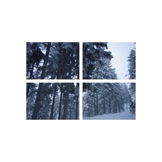 Set tablouri Multicanvas 4 piese 60x40 cm, peisaj 183