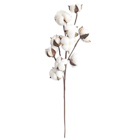Bumbac Natural Pe Tija Ribox 60cm Alb Emag Ro