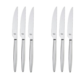 Set 6 cutite pentru servit HISAR colectia MERCURY Set 6 cutite pentru servit HISAR colectia MERCURY