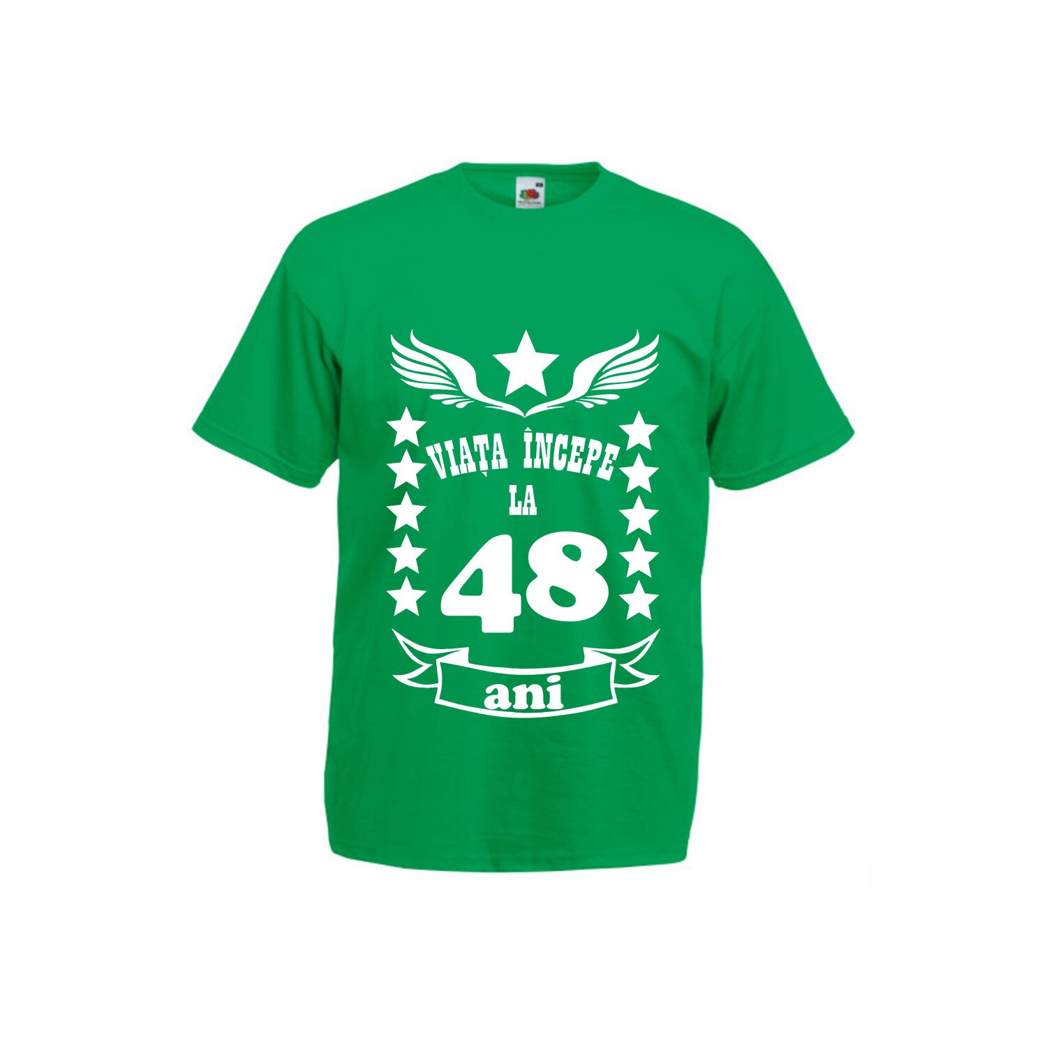 Tricou barbatesc Fruit of the loom Viata incepe la 48 ani verde L