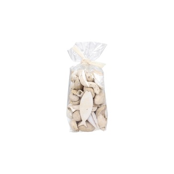 Accesorii decorative Shell H20cm Accesorii decorative Shell H20cm