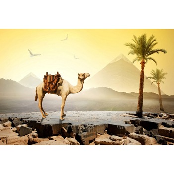 Tablou canvas Piramida 5 (90 x 60 cm) Tablou canvas Piramida 5 (90 x 60 cm)