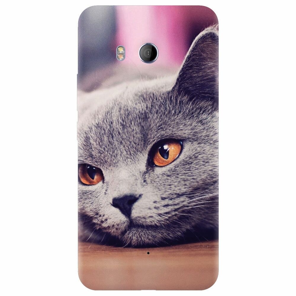 Husa silicon pentru Htc U 11, British Shorthair Cat Yellow Eyes Portrait