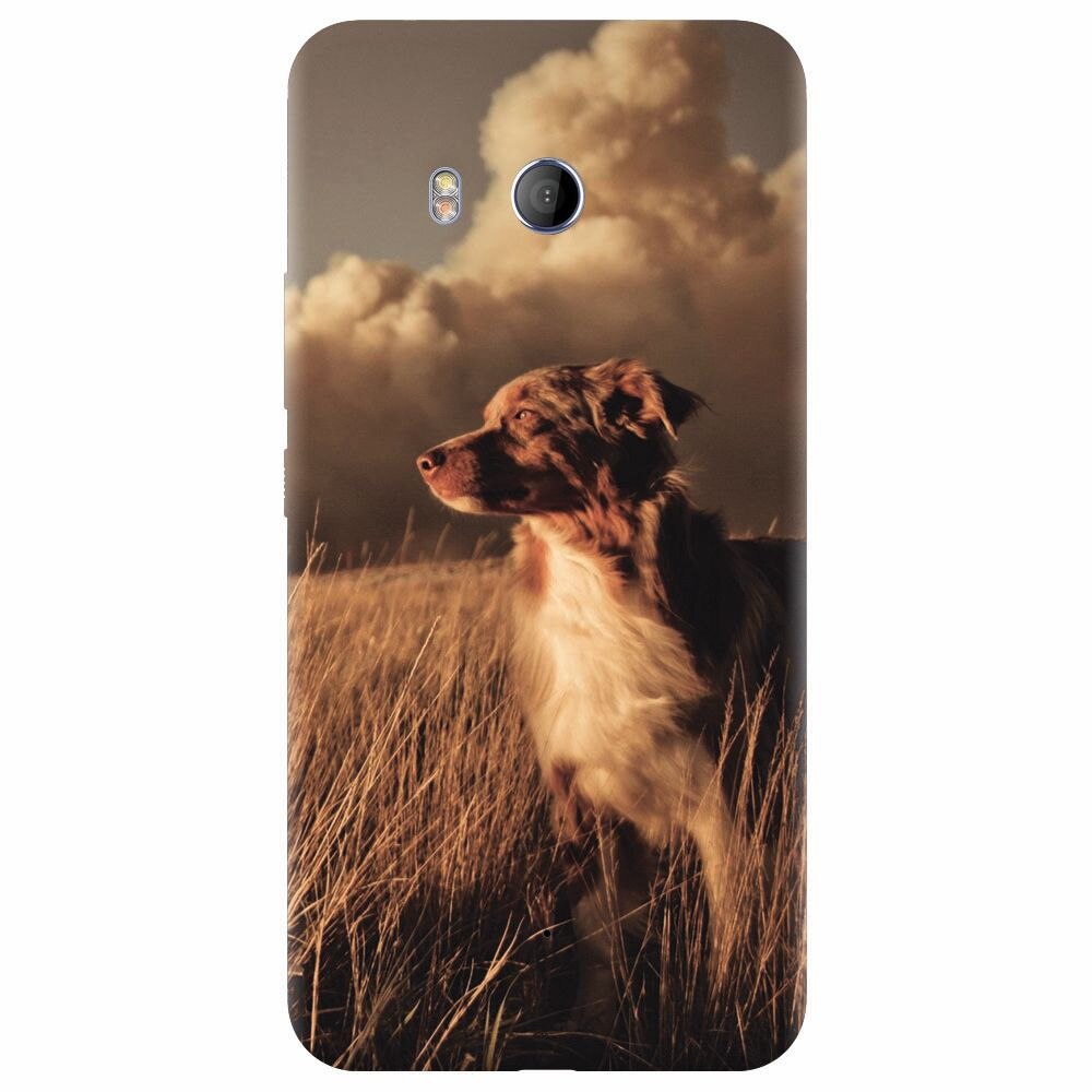 Husa silicon pentru Htc U 11, Alone Dog Animal In Grass