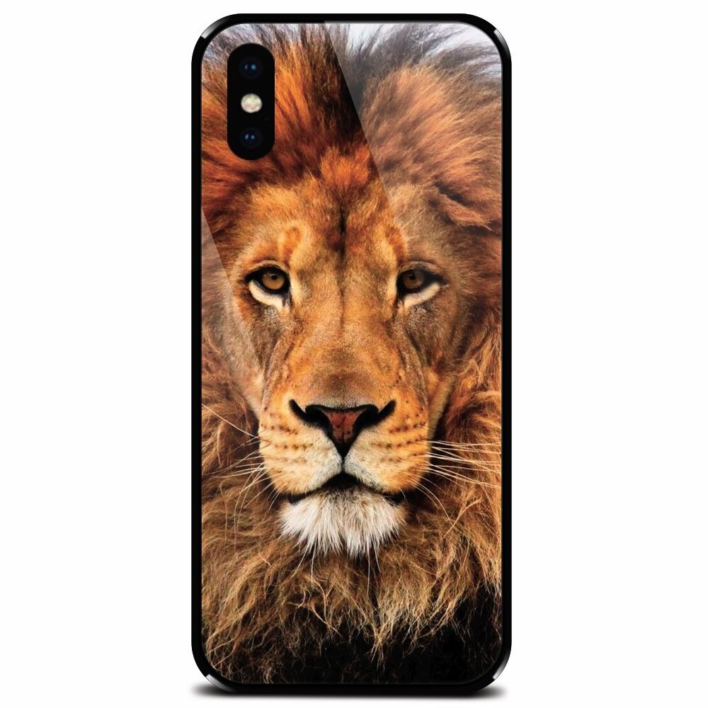 Husa din sticla securizata pentru Apple iPhone X, Colorful Lion4