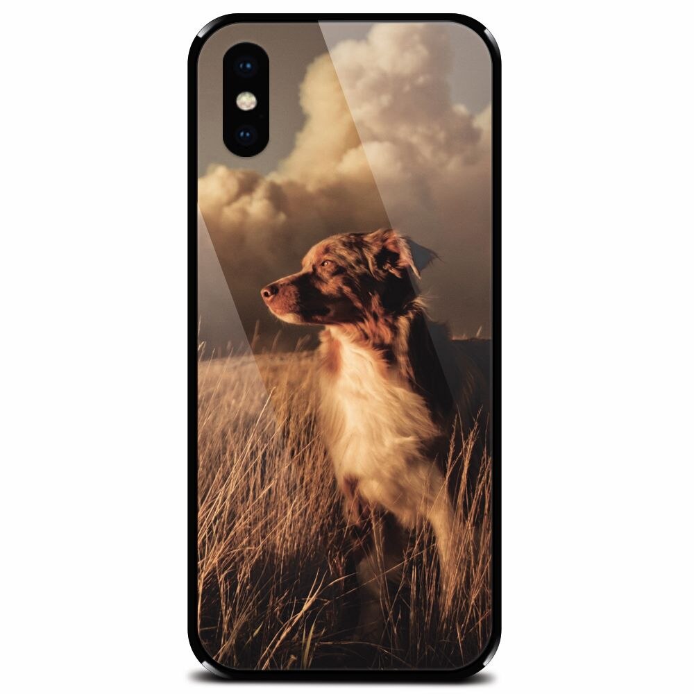 Husa din sticla securizata pentru Apple iPhone XS Max, Alone Dog Animal In Grass